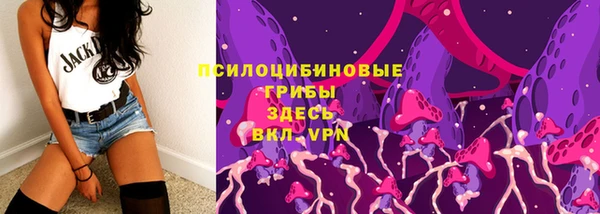 молекула духа Балахна