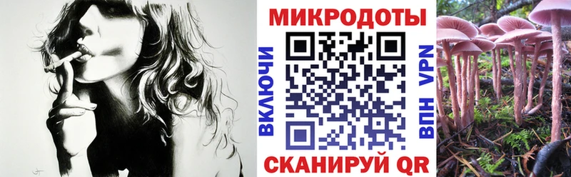 KRAKEN рабочий сайт  Светлоград  Галлюциногенные грибы GOLDEN TEACHER  наркотики 